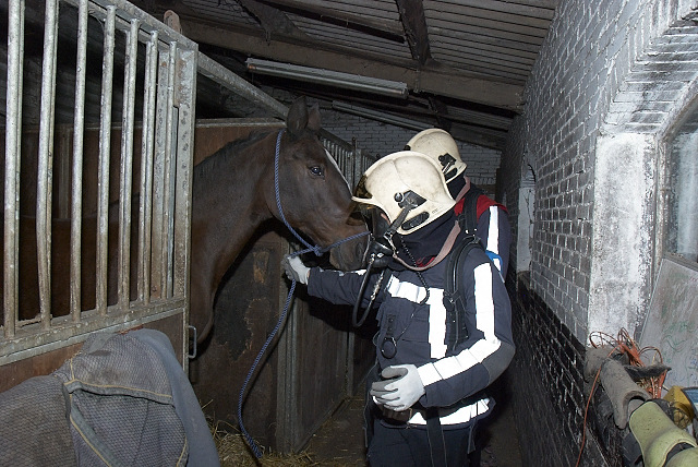 2011/201a/GB 20110914 033 Oefening grote huisdieren.jpg